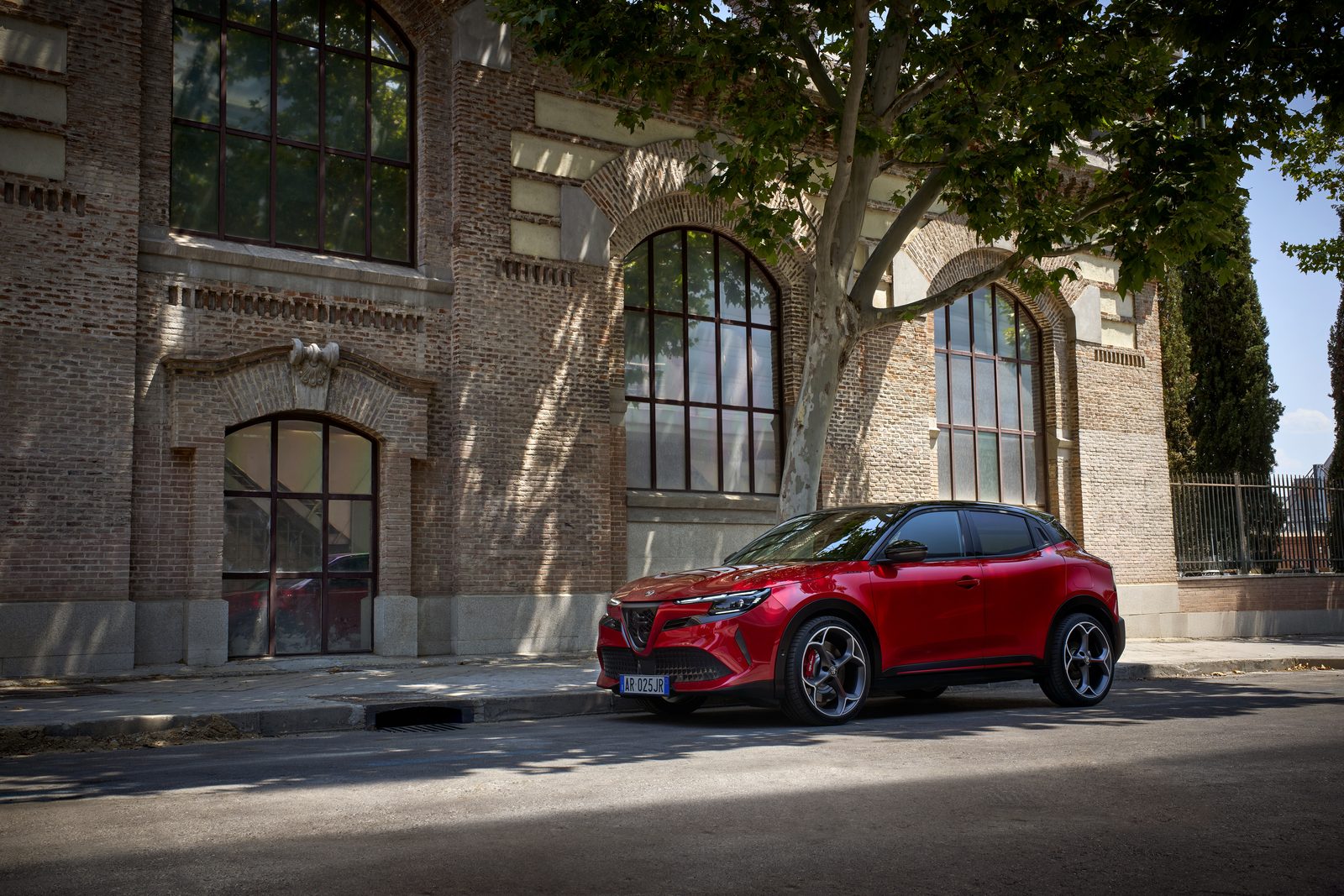 Alfa Romeo Junior : le Biscione repart à la conquête du cœur de l'Europe